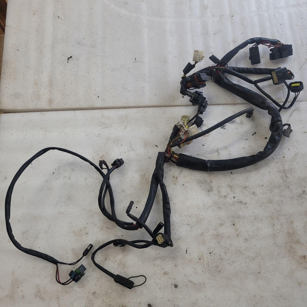 Harness, Main