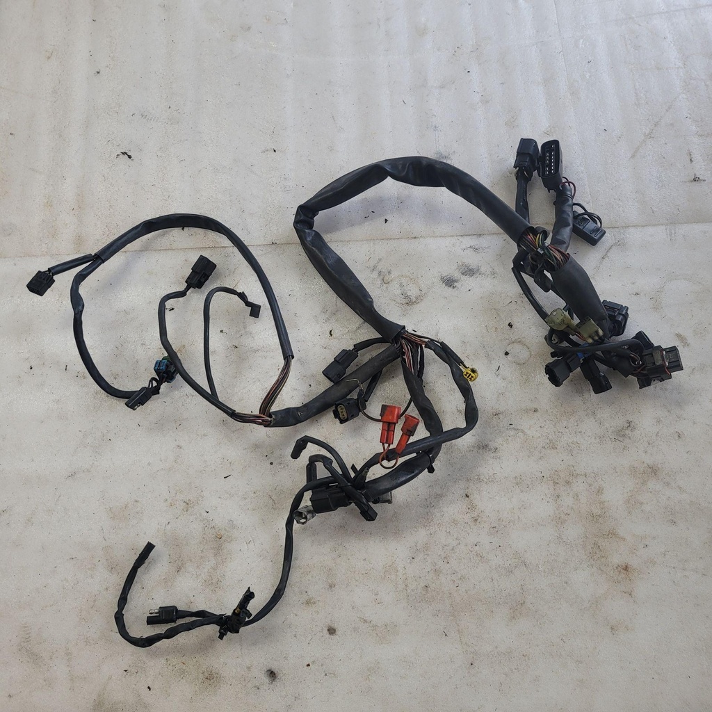 Harness, Main